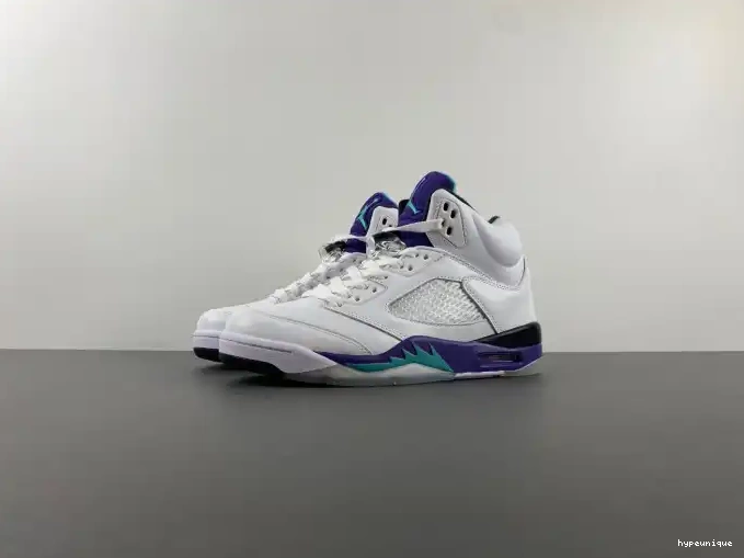 HYPE (2013) 136027-108 Grape 5 Air Jordan Retro 0421